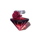 LA NUIT TRESOR INTENSE
