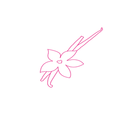 Adictiva & Deliciosa