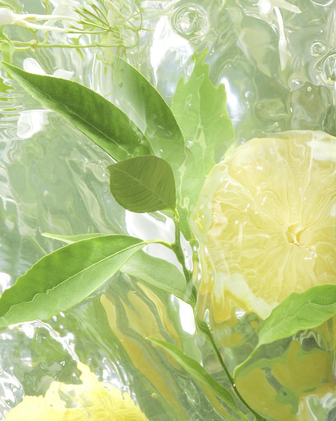 FRESH CITRUS