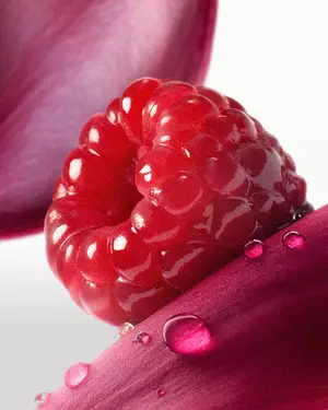 Fruity fragrance illustration Lancome