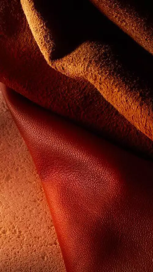 Warm beauty visual for Lancome