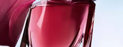 La vie est belle elixir Lancome