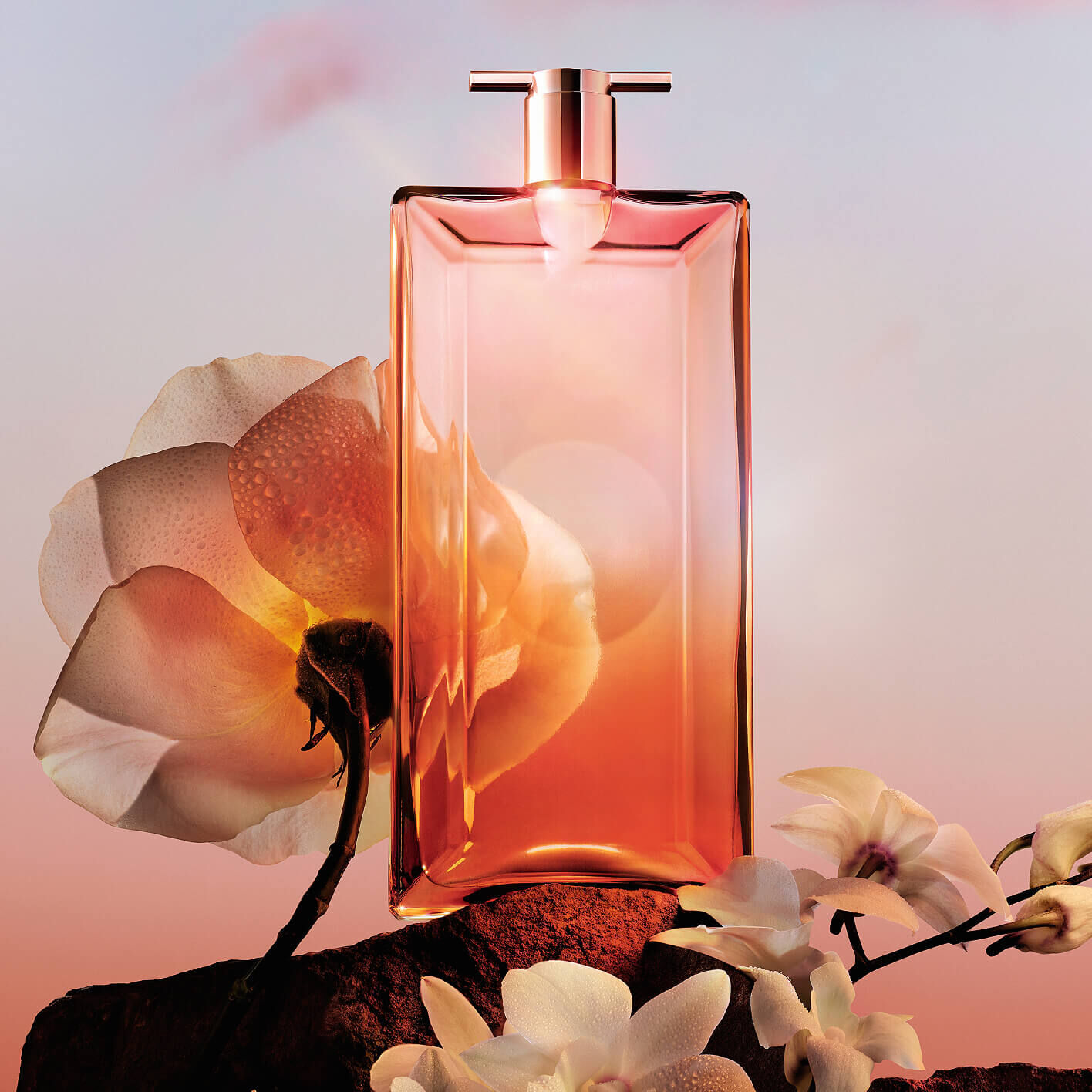 Idole Now Still Life