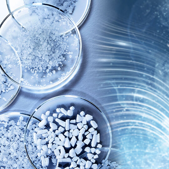 Nuestros Ingredientes