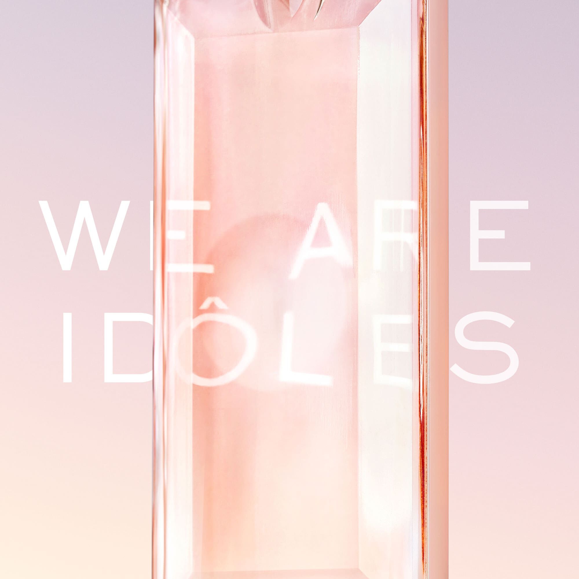 IDOLE EDP