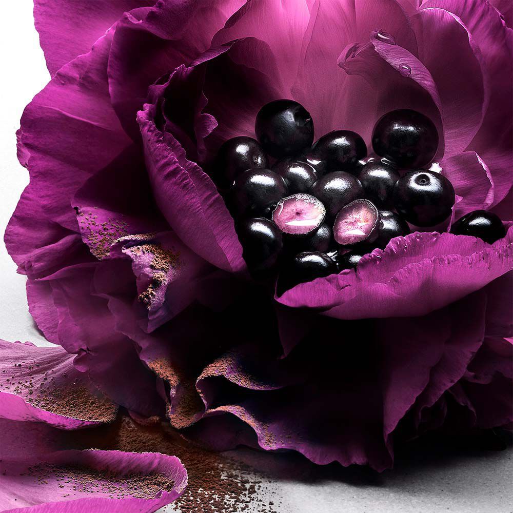 LA NUIT TRESOR LE PARFUM