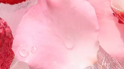 Imagen del ingrediente - recorte sobre petalos de rosa
